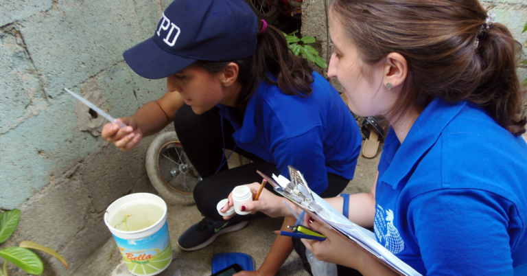 A couple of researchers studying mosquitoes