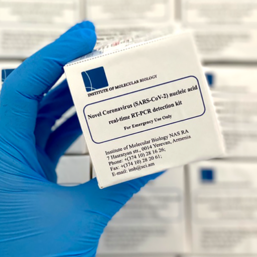 One of the 100,000 COVID-19 test kits developed by the Institute of Molecular Biology of the National Academy of Sciences of the Republic of Armenia