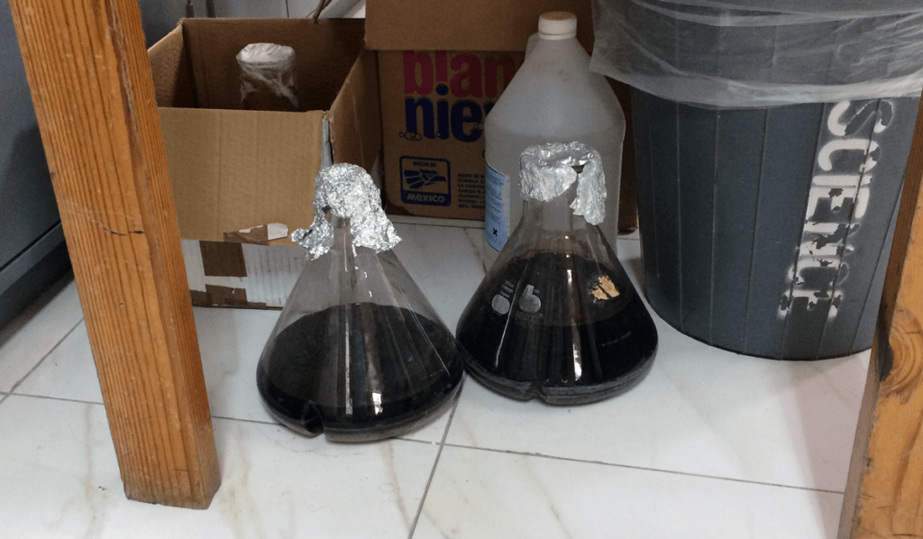 Samples of water collected from the Riverton City Dump in Dr. Collins-Fairclough's lab