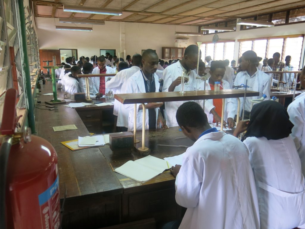 First-year students from the Animal Sciences program work on Biochemistry practicals in the lab at SUA