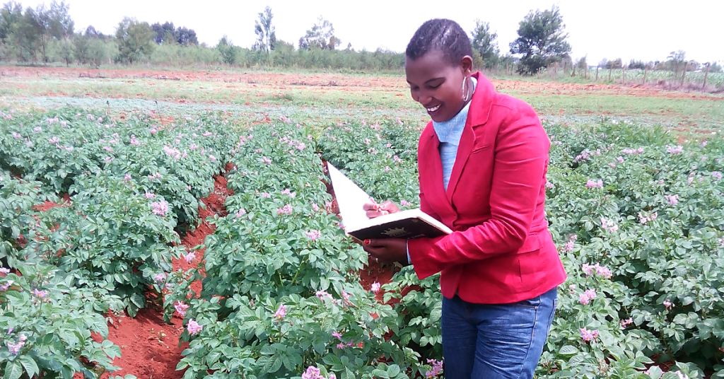 Dr. Emmy Chepkoech gathering data and checking progress of potato crops in the field at the University of Eldoret