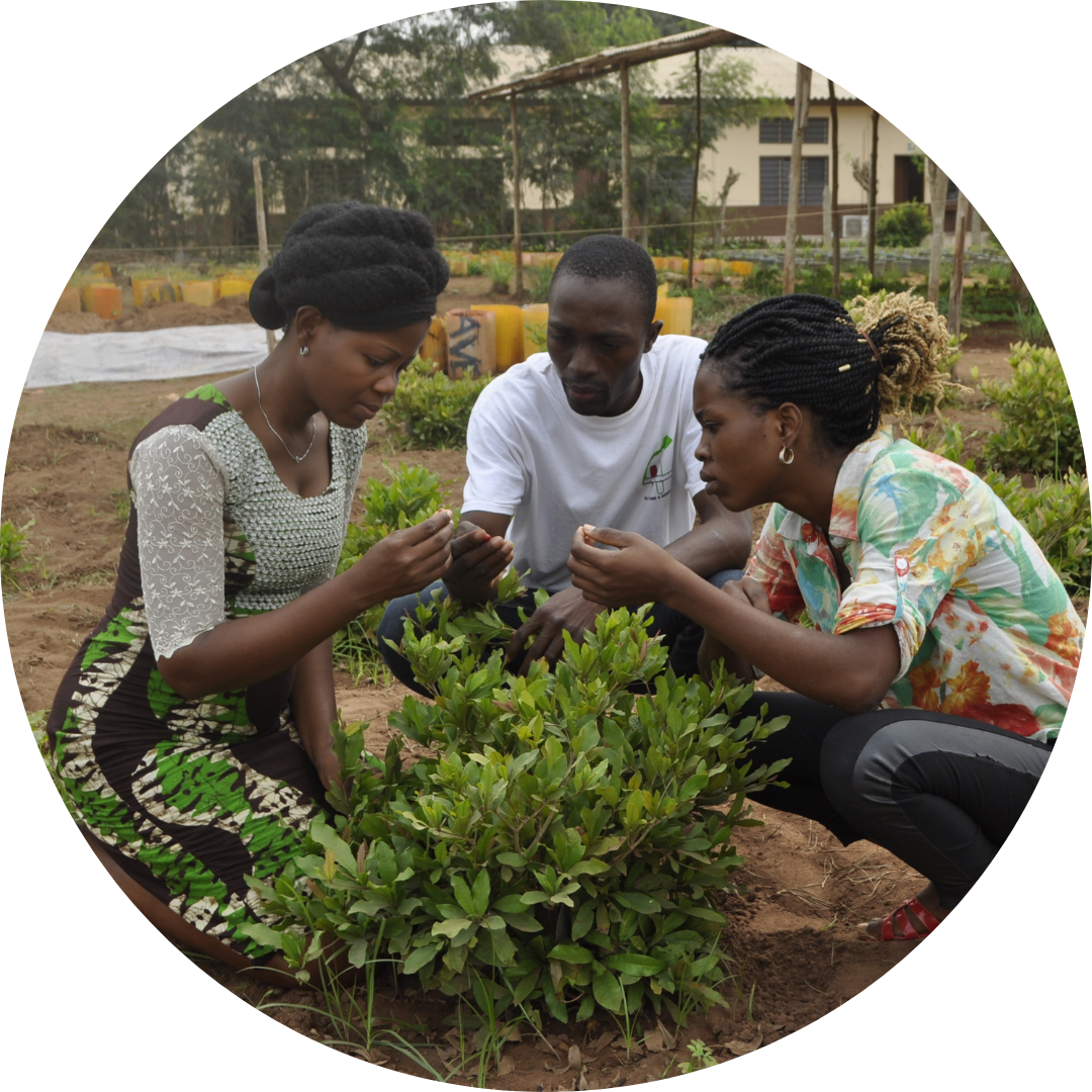 Researchers in the field in Benin