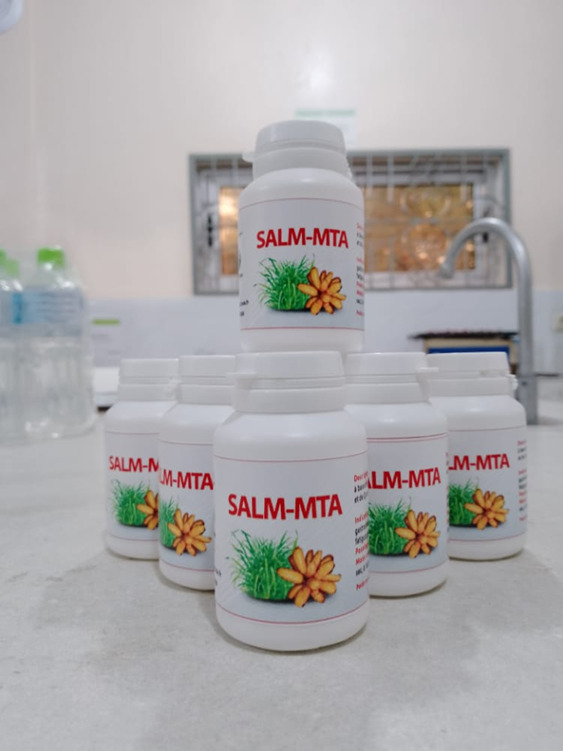 SALM-MTA